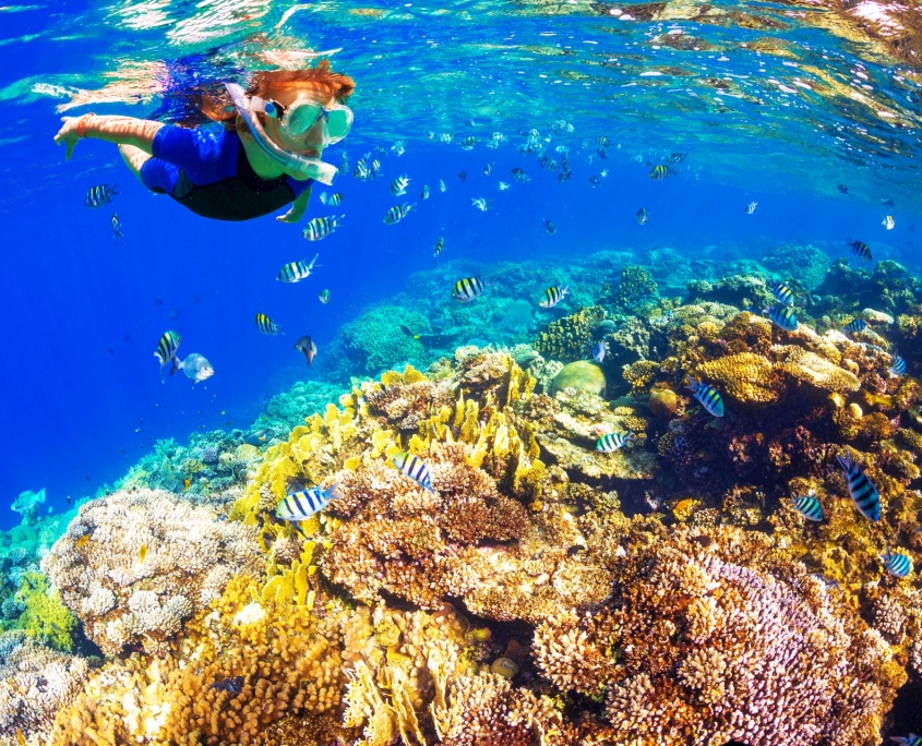 boy-in-the-land-of-fish-kona-snorkeling-tour-dolphin-watch-body-glove-hawaii boy in the land of fish kona snorkeling tour dolphin watch body glove hawaii