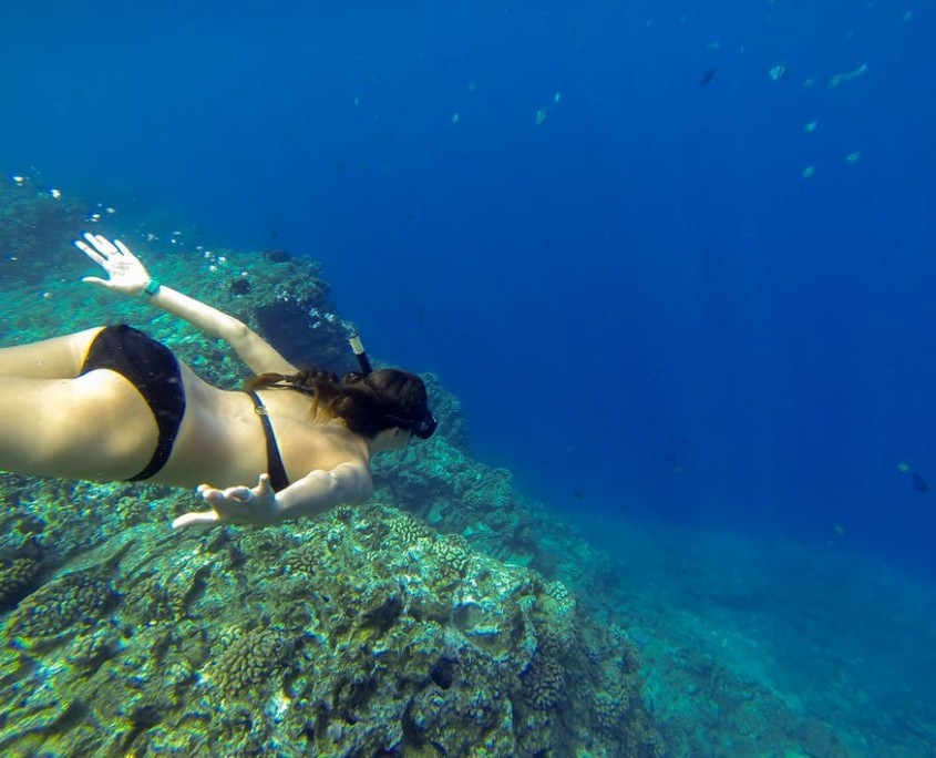 Snorkeling Niihau In Holo Holo Charters Kauai Snorkeling Niihau In Holo Holo Charters Kauai