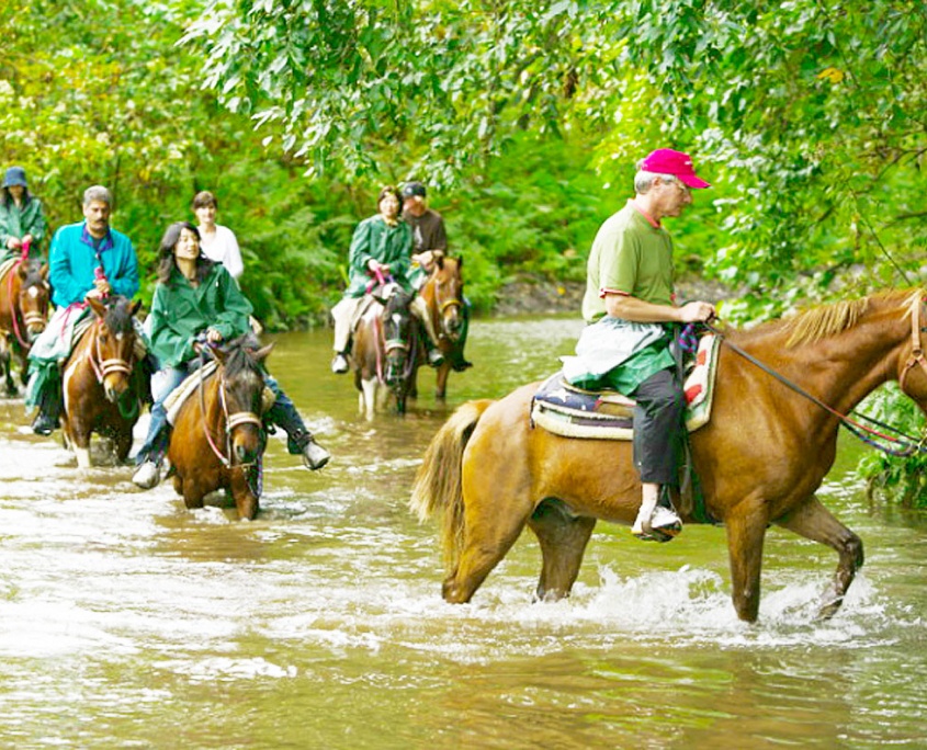 a relaxing 3-hour horseback ride big island waipio on horseback a relaxing hour horseback ride big island waipio on horseback
