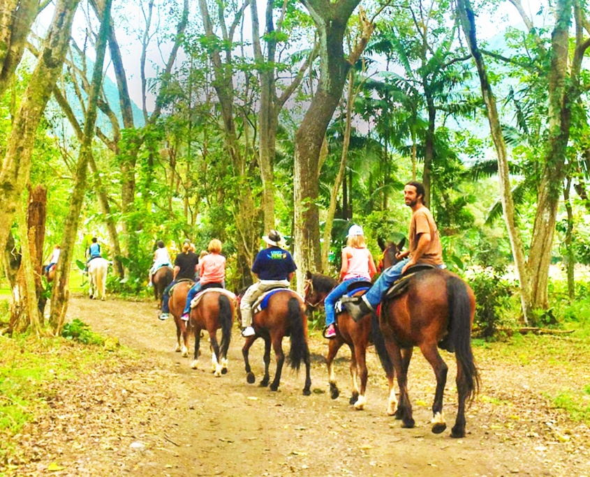 fun horsing big island waipio on horseback fun horsing big island waipio on horseback