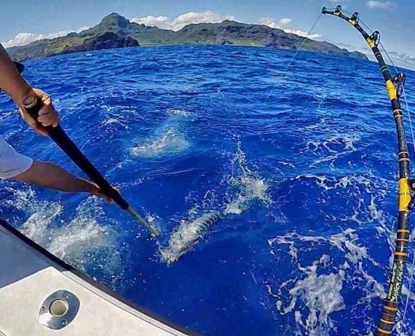 fishing on kauai fishing on kauai