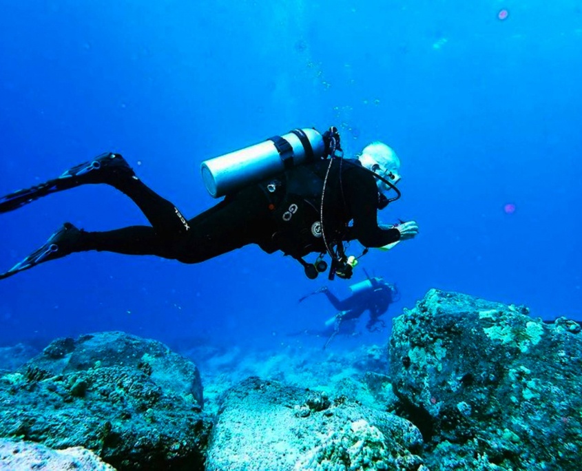 kona honu diver big island kona honu diver big island