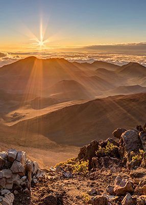 WebPanel Maui