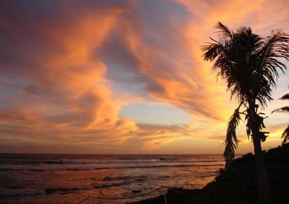 Germaines Luau Sunset Orange