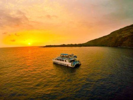 Big Island Shows Cruises Hawaii Tours And Activities