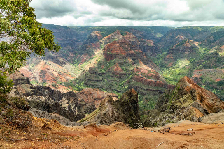 Waimea Canyon Sightseeing Tour Kauai