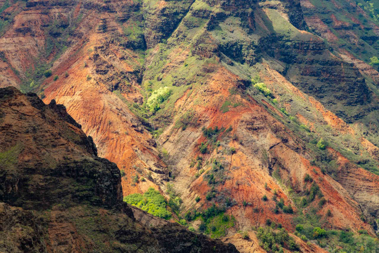 Waimea Canyon Sightseeing Tour Kauai