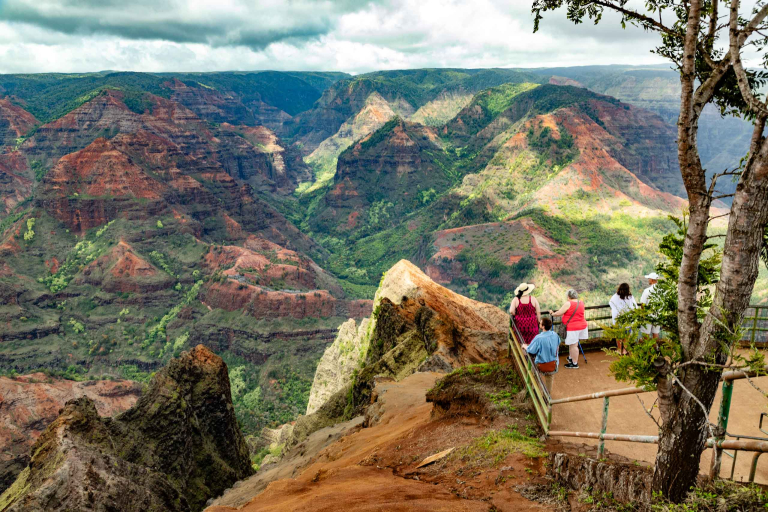 Waimea Canyon Sightseeing Tour Kauai