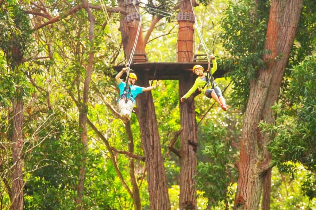 a zipline experience youll never forget hawaii forest big island