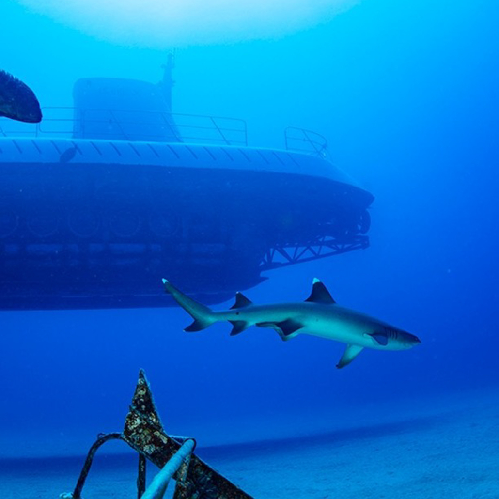 Atlantisadventures Atlantis Submarine Dive Tour Exporing Slide