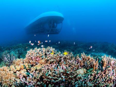 Submarine Dive Off Kona
