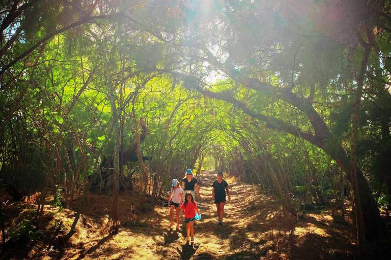 Family Friendly Activities Kauai Family