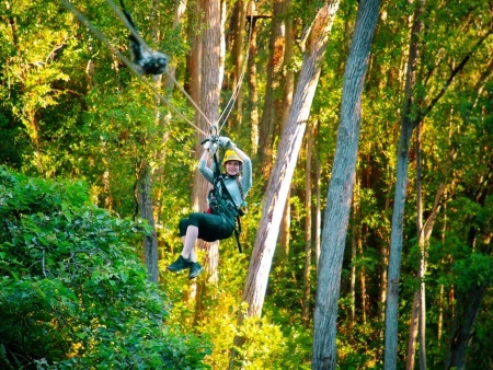 join us for a canopy experience like no other hawaii forest big island