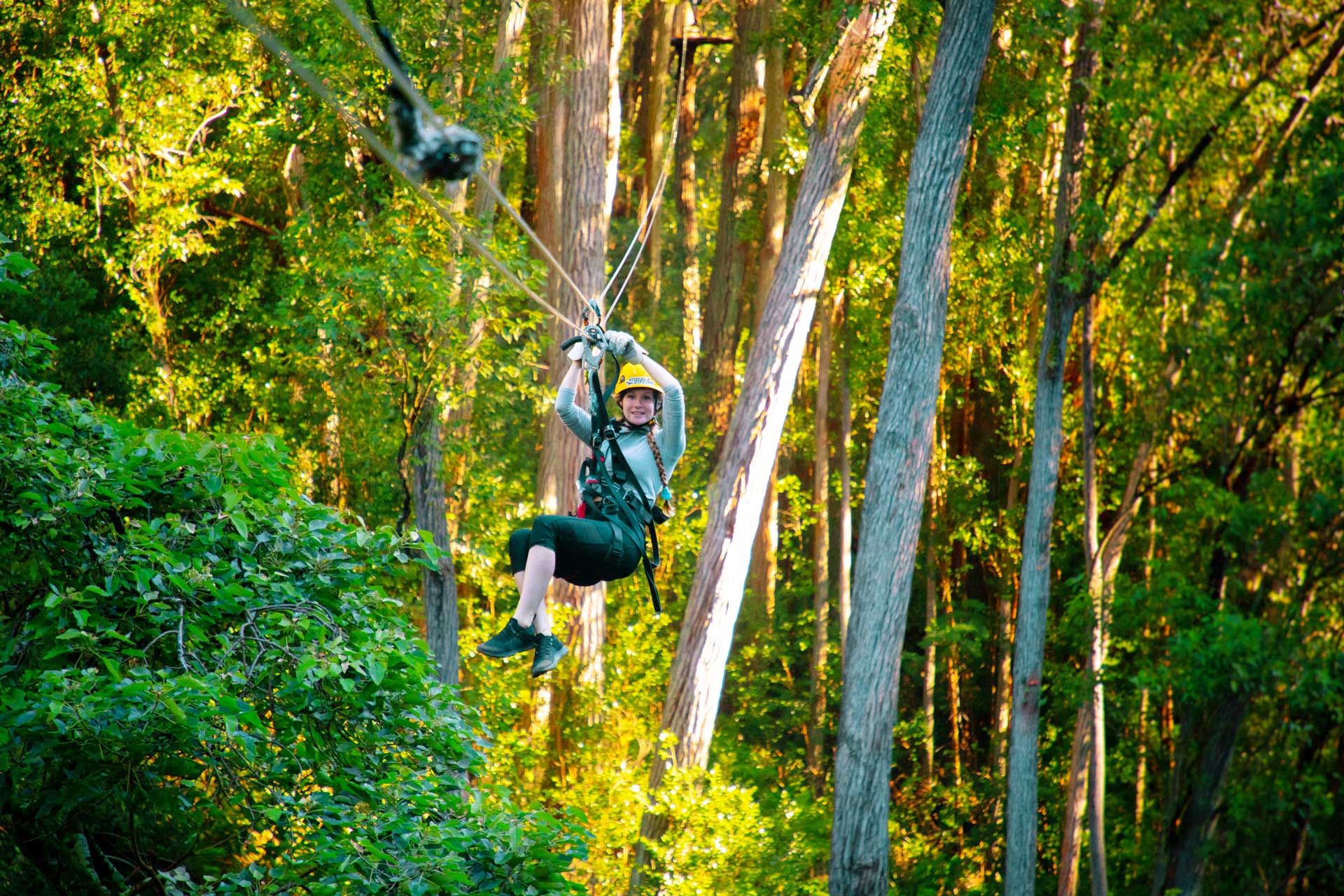 North Kohala Canopy Zipline Tour Big Island Zipline