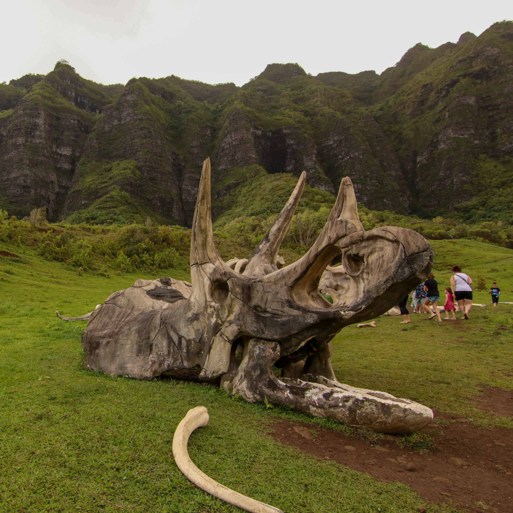 Kauai Movie Tv Day Tour From Oahu Dinosaur Scene