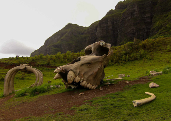Kauai Movie Tv Day Tour From Oahu Scene In Movie 