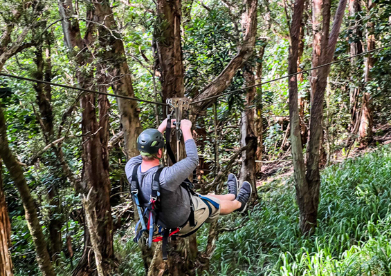 Koloazipline Koloa Zipline Adventure Tour Through Forest Feature