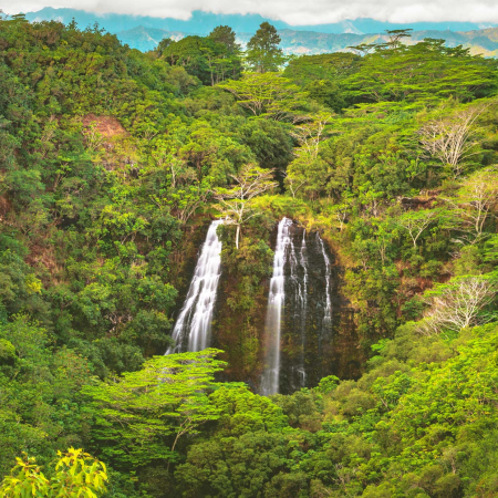 Opaekaa Falls Kauai Hawaii Product
