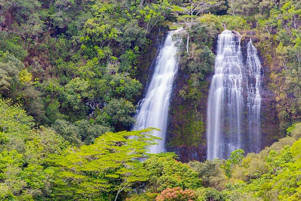 polyad kauai movie tv tour to scenic hanalei kauai opaekaa falls