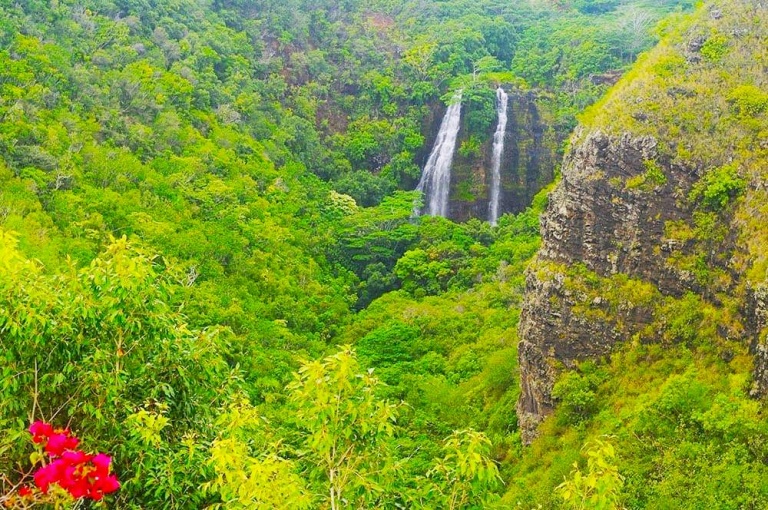 polyad kauai movie tv tour to scenic hanalei opaekaa falls