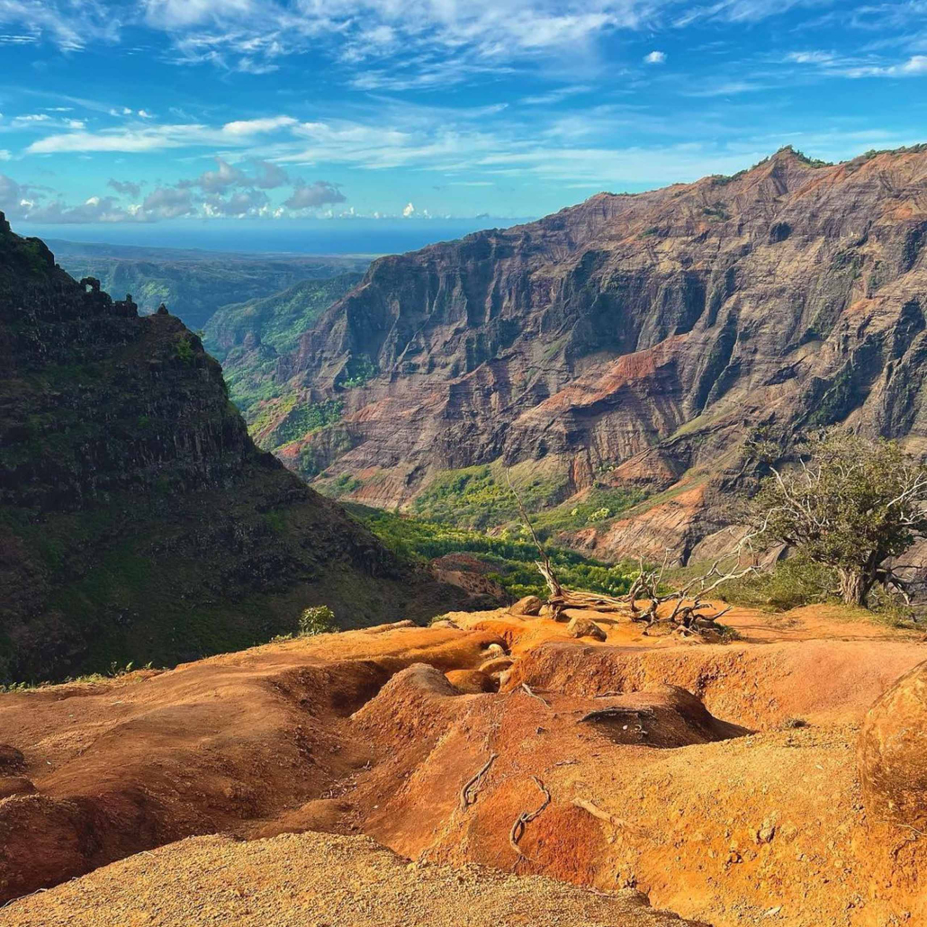 Polyad Kauai Waimea Canyon Waimea Canyon Experience A Day At Waimea Canyon