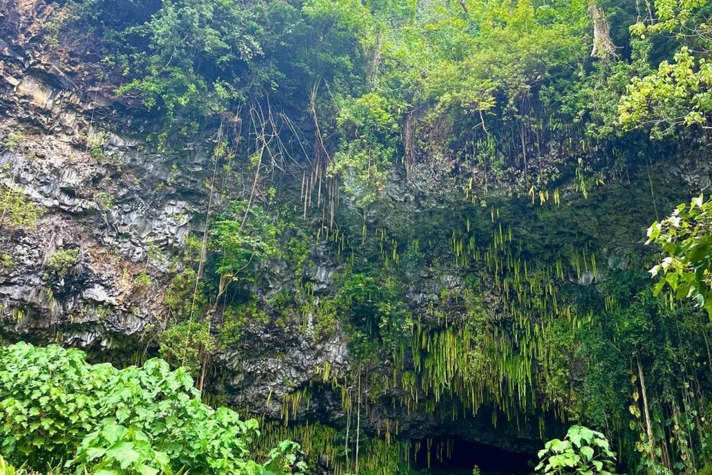 Polyad Kauai Waimea Canyon Waimea Canyon Experience Fern Grotto Cave
