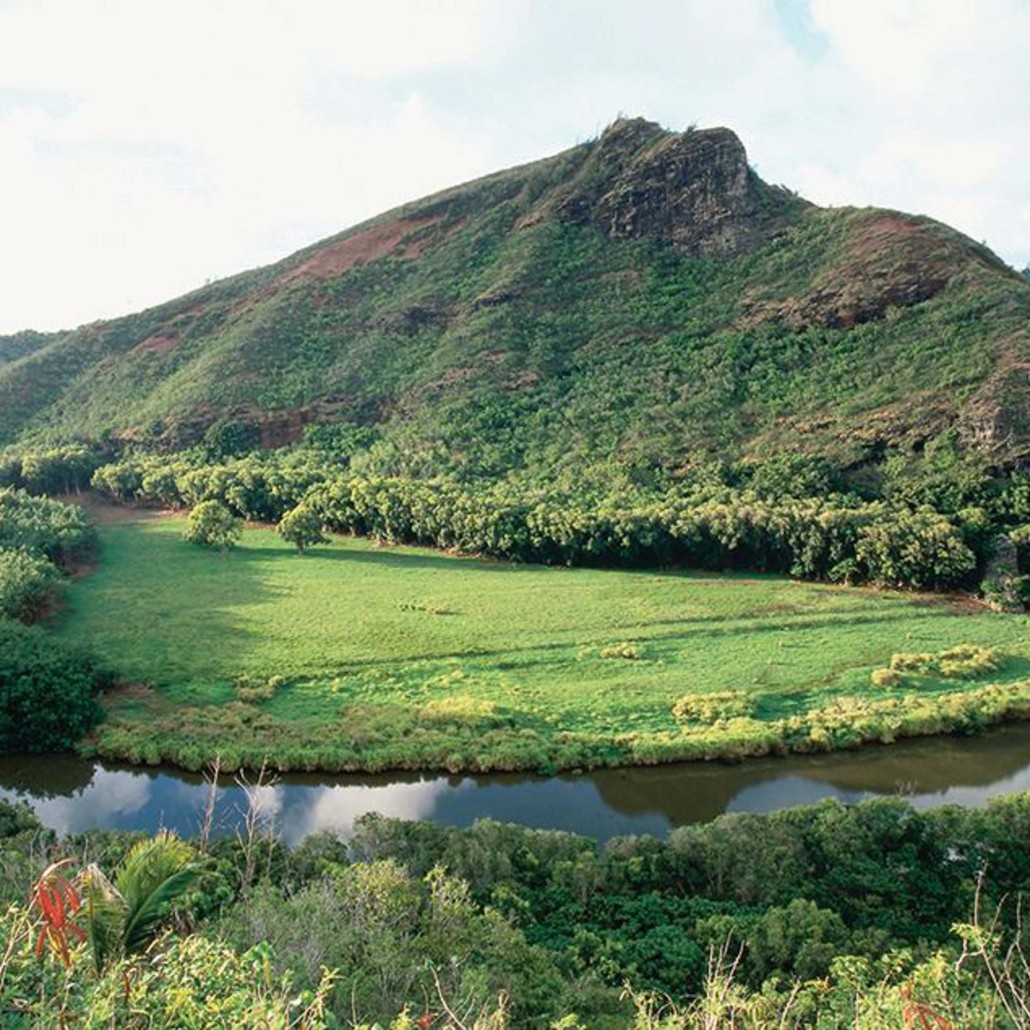 Polyad Kauai Waimea Canyon Waimea Canyon Experience Wailua River On A Scenic Jounrey