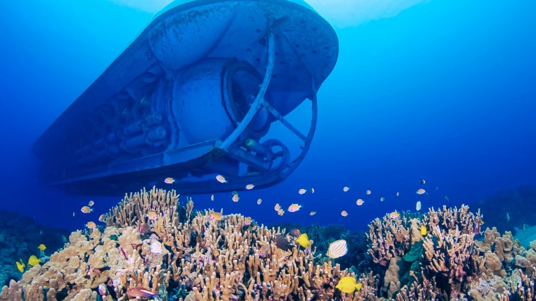 see konas marine mysteries including  acres of stunning natural reef and all of its many inhabitants kailua kona atlantis adventures