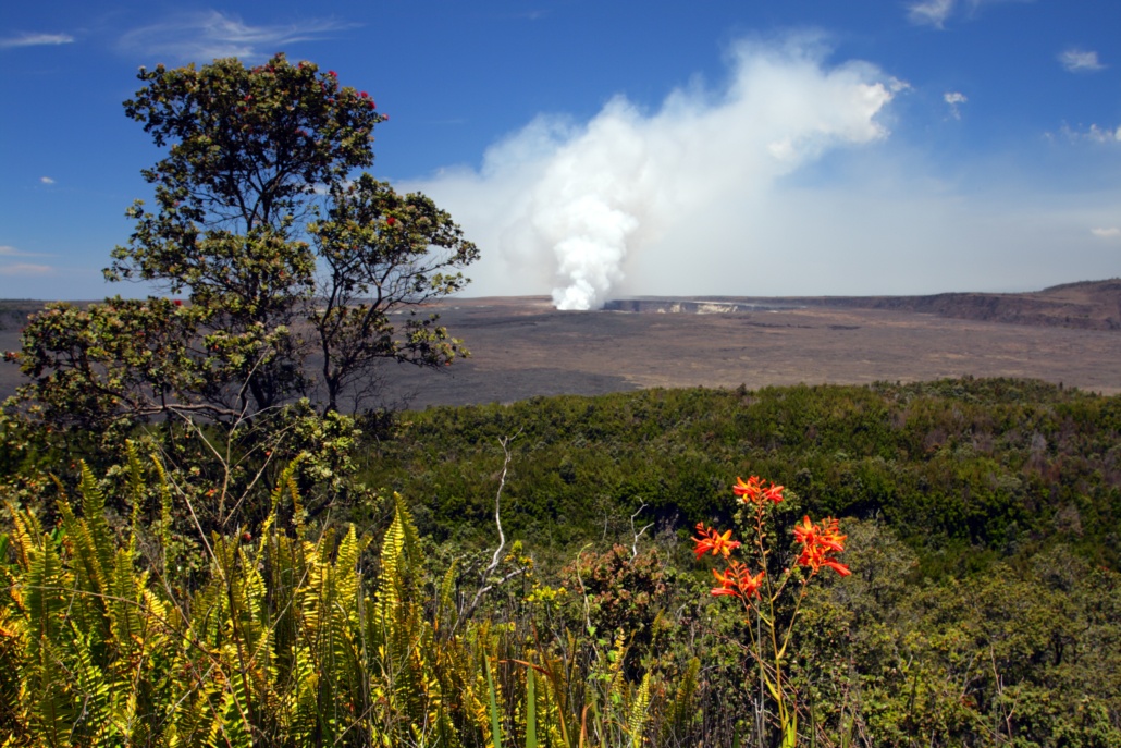 Steaming Hawaii Volcanoes National Park