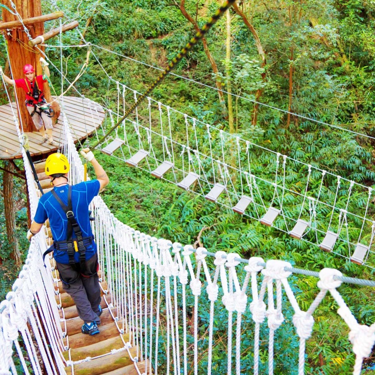 step out of your comfort zone and onto a skybridge hawaii forest big island