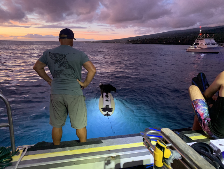 Torpedotours Kona Manta Ray Dive Manta Guarantee Sunset