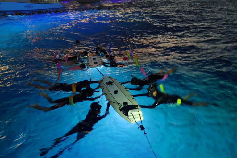 Torpedotours Kona Manta Ray Dive Whole Group