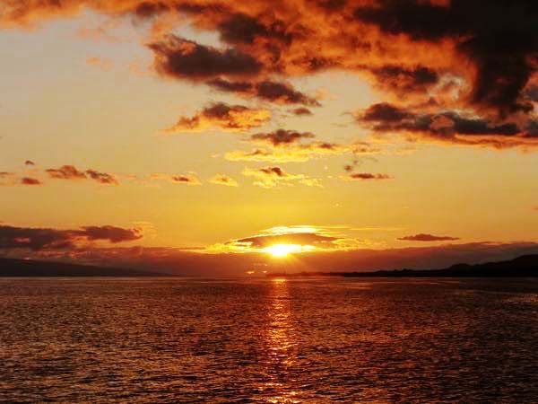 unbeatable ocean views calypso maui sunset dinner cruise