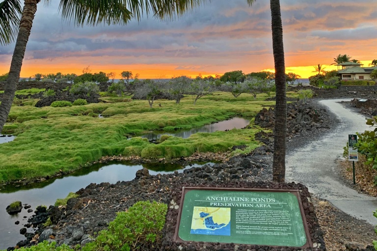 Waikoloabeachresort Waikoloa Beach Marriott Luau Hawaiian Luau History