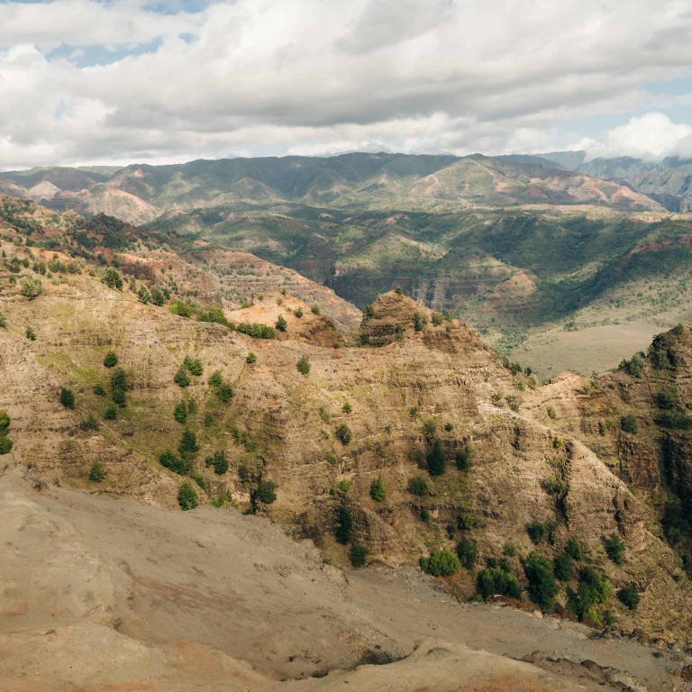 Waimea Canyon Guests Sightseeing