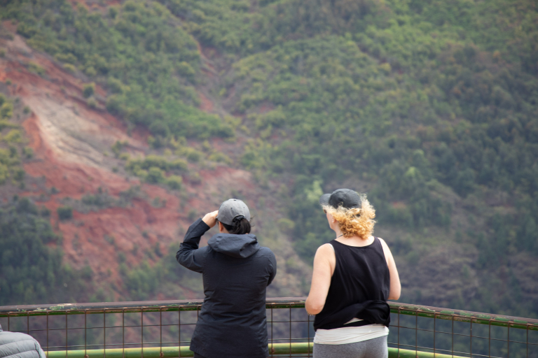 Waimea Canyon Kokee Lookout Tour Guests