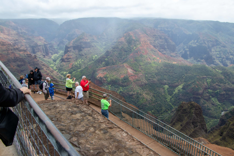 Waimea Canyon Kokee Lookout Tour Guests Enjoy View