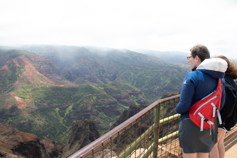Waimea Canyon Kokee Lookout Tour Sight Seeing