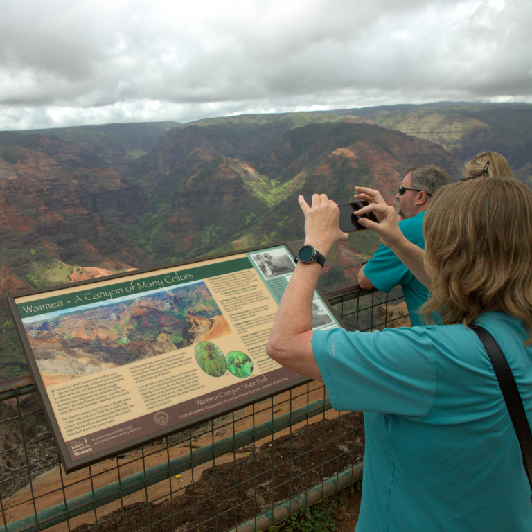 Waimea Canyon Kokee Sightseeing Overview