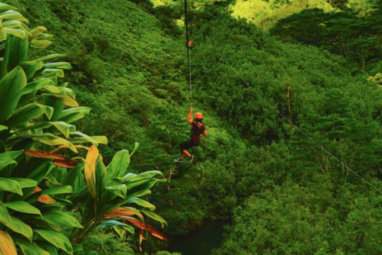 Zipline Kauai  Zipline Feature
