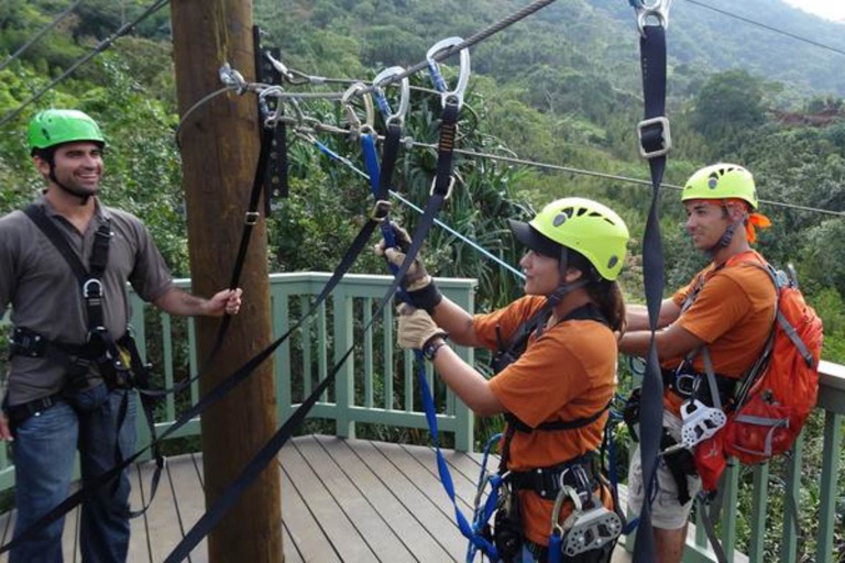 Zipline With Friends 