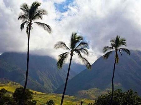 Haleakala Iao Valley Central Maui Tour