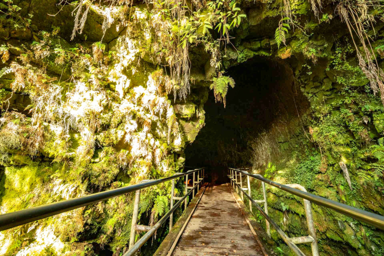 Big Island Volcano Tour Thurston Lava Tube Volcanoes National Park