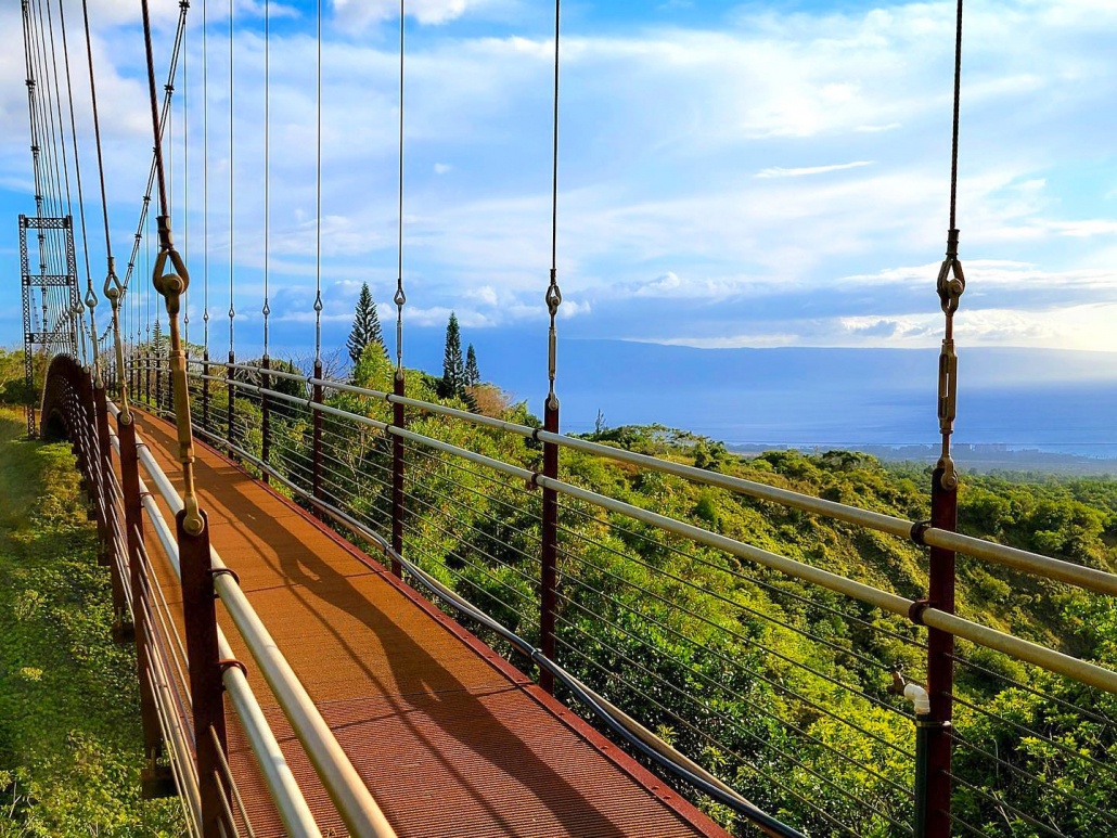 experience the natural splendor of maui from the exotic native forests kapalua ziplines