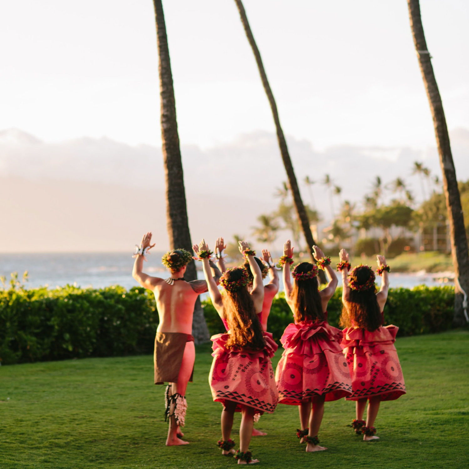 Grand Wailea Luau Costco - coysk87