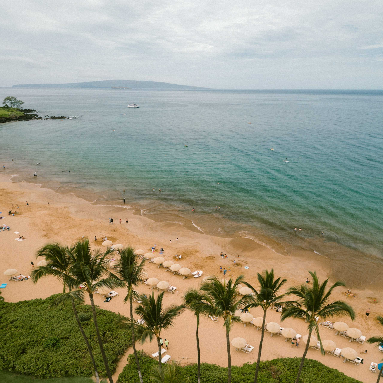 Grand Wailea Luau Costco - tjmk6o2