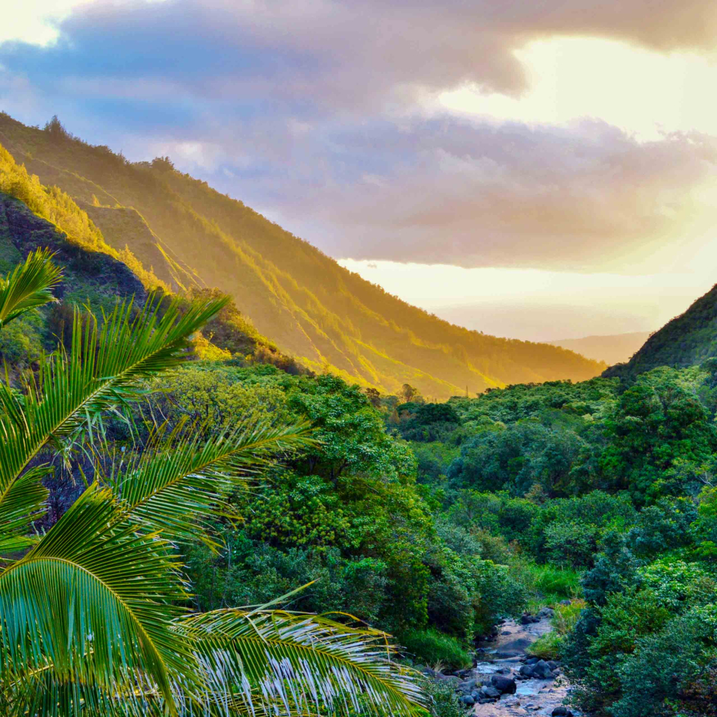 Haleakala Iao Valley Upcountry Maui Tour Overview