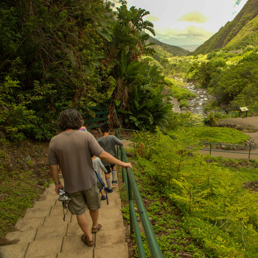 Haleakala Iao Valley Upcountry Maui Tour Toursits Walking