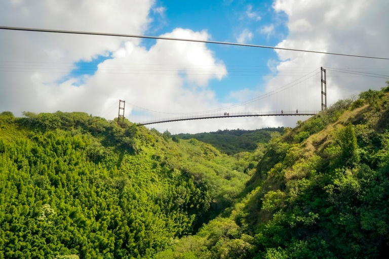 kapalua zipline tour adventure banner