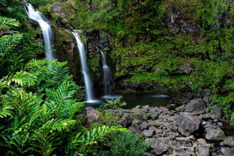 Road To Hana Waterfallsrainforest Feature